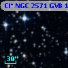 Cl* NGC 2571    GVB    1410