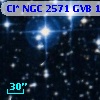 Cl* NGC 2571    GVB    1556