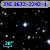 TYC 3672-2242-1