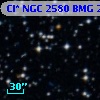 Cl* NGC 2580    BMG     276
