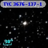 TYC 3676-137-1