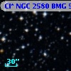 Cl* NGC 2580    BMG     509