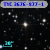 TYC 3676-877-1