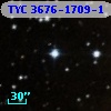 TYC 3676-1709-1