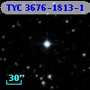 TYC 3676-1813-1