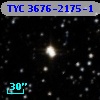 TYC 3676-2175-1