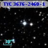 TYC 3676-2460-1
