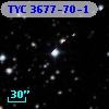 TYC 3677-70-1