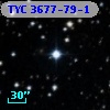 TYC 3677-79-1
