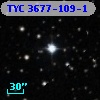 TYC 3677-109-1