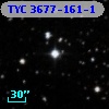 TYC 3677-161-1