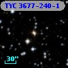TYC 3677-240-1
