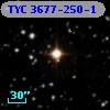 TYC 3677-250-1