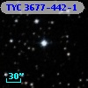 TYC 3677-442-1
