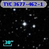 TYC 3677-462-1