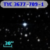TYC 3677-709-1