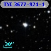 TYC 3677-921-1
