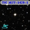 TYC 3677-1429-1