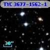 TYC 3677-1562-1