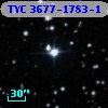 TYC 3677-1783-1