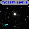 TYC 3677-1905-1