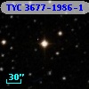 TYC 3677-1986-1