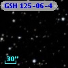 GSH 125-06-4