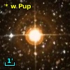* w Pup