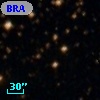 BRAN 135A