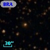 BRAN 135B