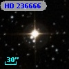 HD 236666