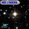 HD 236680