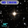 HD 236686