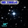 HD 236654