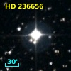HD 236656