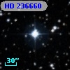HD 236660
