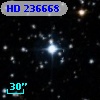 HD 236668