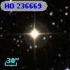 HD 236669