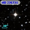 HD 236731