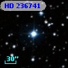 HD 236741