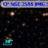 Cl* NGC 2588    BMG     559