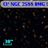 Cl* NGC 2588    BMG     566