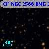 Cl* NGC 2588    BMG     568
