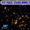 Cl* NGC 2588    BMG     590