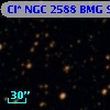 Cl* NGC 2588    BMG     919