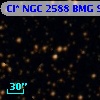 Cl* NGC 2588    BMG     951