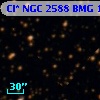 Cl* NGC 2588    BMG    1195