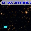 Cl* NGC 2588    BMG    1225