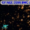 Cl* NGC 2588    BMG    1524