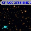 Cl* NGC 2588    BMG    1649